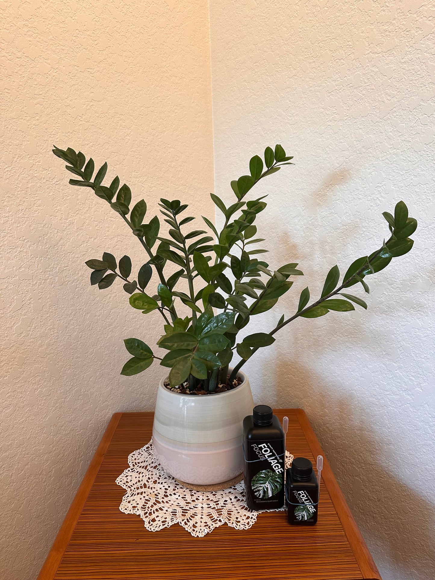 Growth Technology Foliage Focus