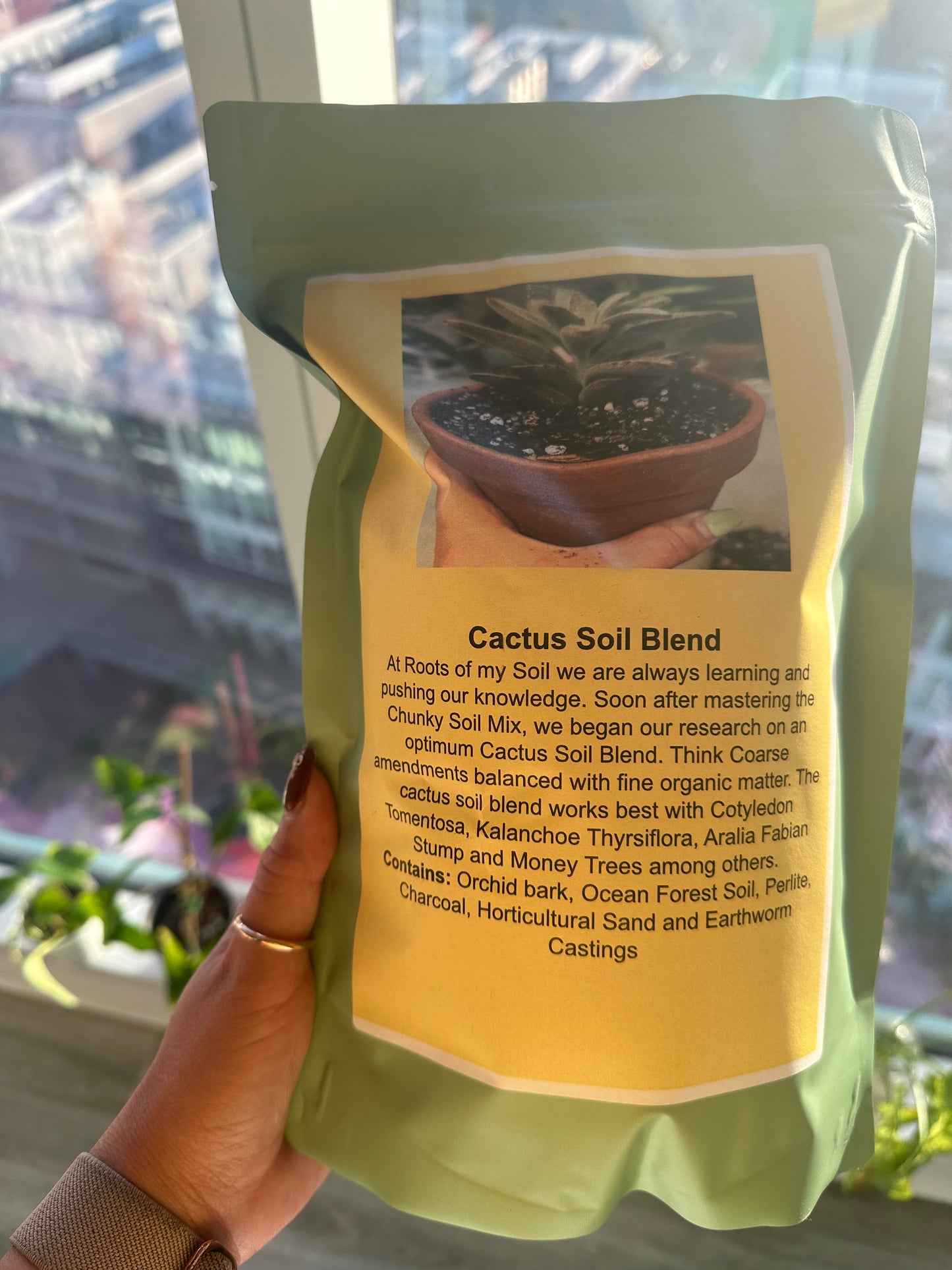 Cactus Soil Blend