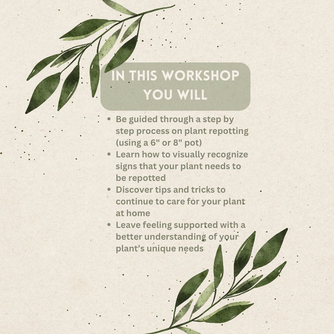 Repotting Class 8/27