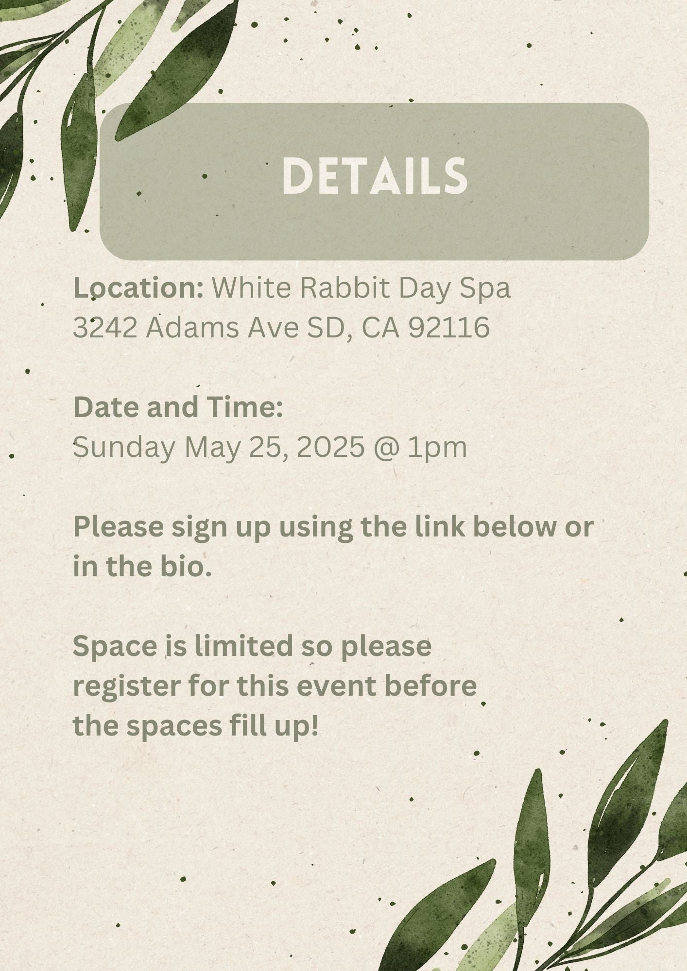 Paint and Succulent Arrangement Workshop