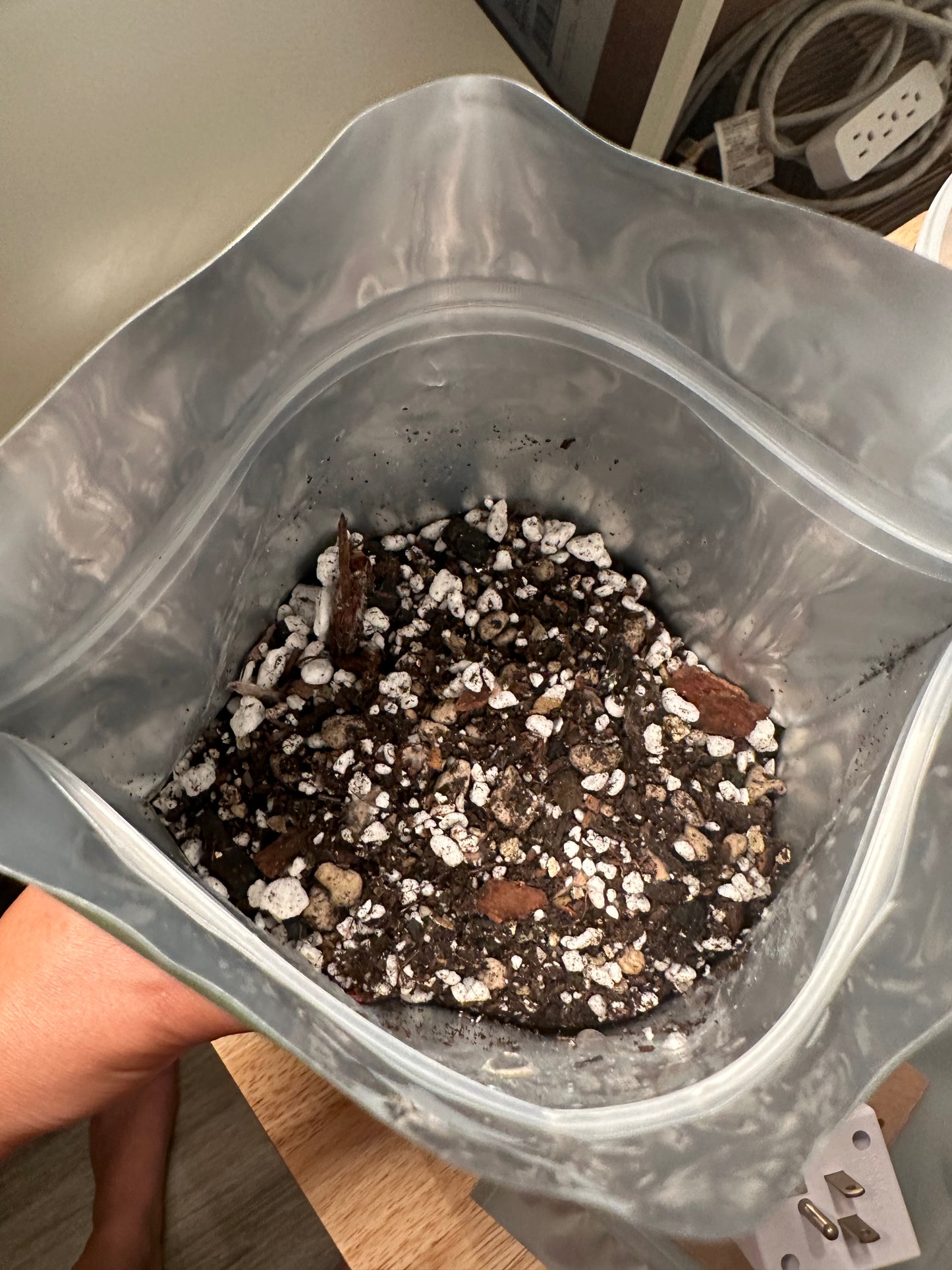 Cactus Soil Blend