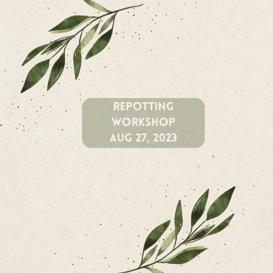 Repotting Class 8/27