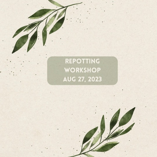 Repotting Class 8/27