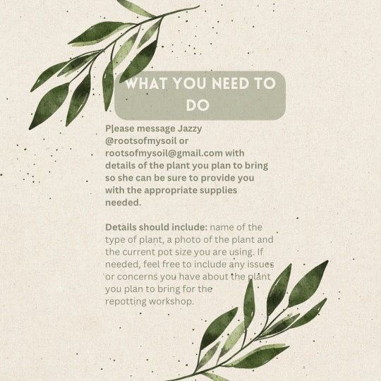 Repotting Class 8/27