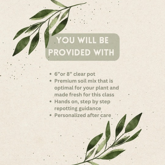 Repotting Class 7/30